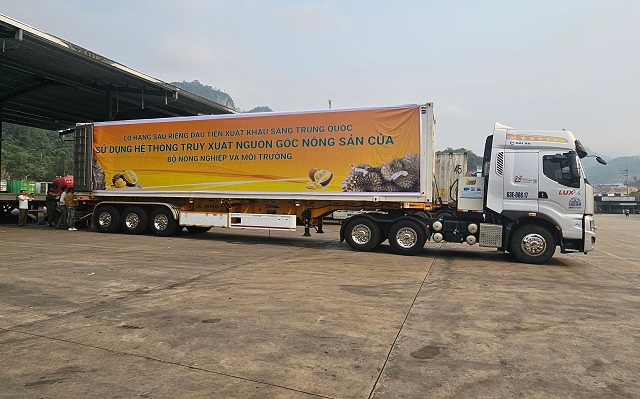 Xuất khẩu lô sầu riêng đầu tiên nhờ thông quan Luồng xanh