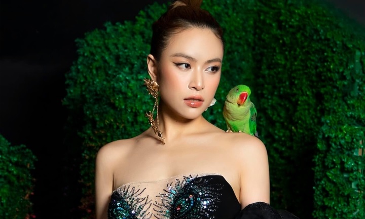 hoang-thuy-linh-va-2-lan-phat-ngon-gay-tranh-cai-tai-hop-bao-showbiz
