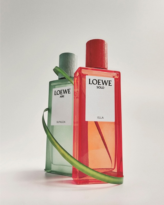 loewe-15-73