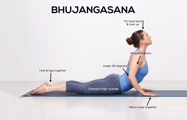 Bhujangasana-yoga-wshowbiz