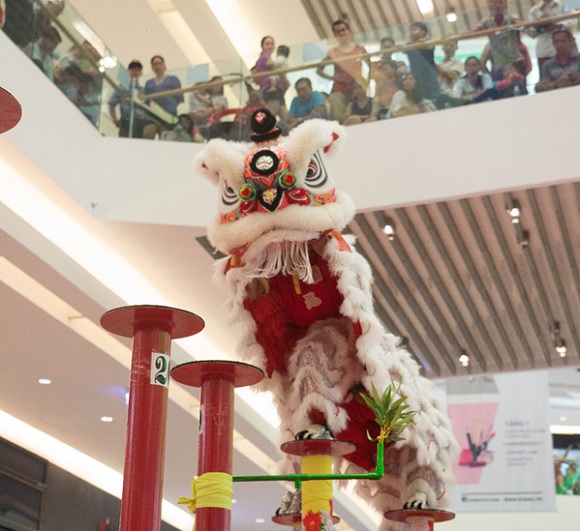 giai-lan-rong-xanh-wshowbiz-4