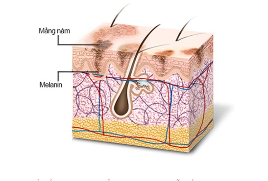 tham-my-bac-a-1